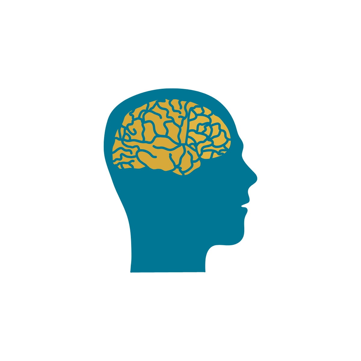 Brain mapping